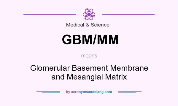 What does GBM/MM mean? It stands for Glomerular Basement Membrane and Mesangial Matrix