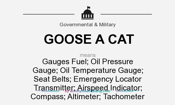 What does GOOSE A CAT mean? It stands for Gauges Fuel; Oil Pressure Gauge; Oil Temperature Gauge; Seat Belts; Emergency Locator Transmitter; Airspeed Indicator; Compass; Altimeter; Tachometer
