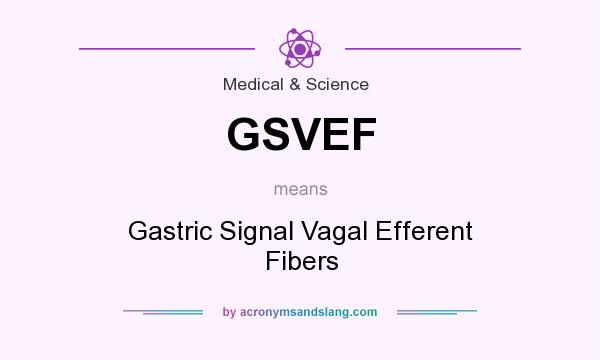 What does GSVEF mean? It stands for Gastric Signal Vagal Efferent Fibers