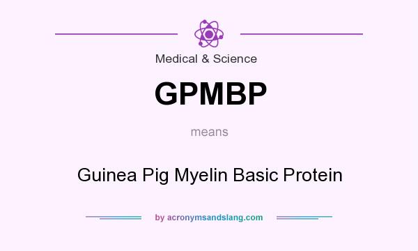What does GPMBP mean? It stands for Guinea Pig Myelin Basic Protein