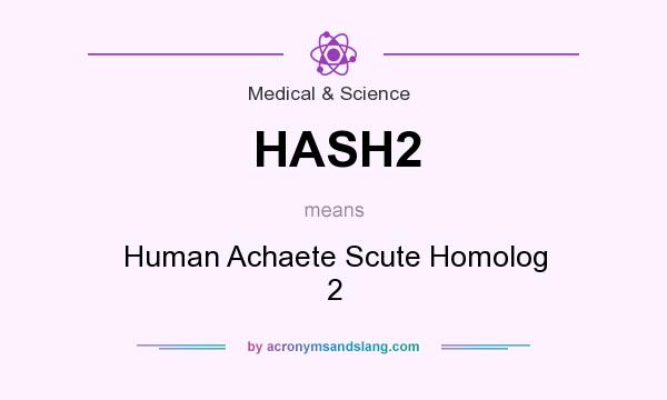 What does HASH2 mean? It stands for Human Achaete Scute Homolog 2
