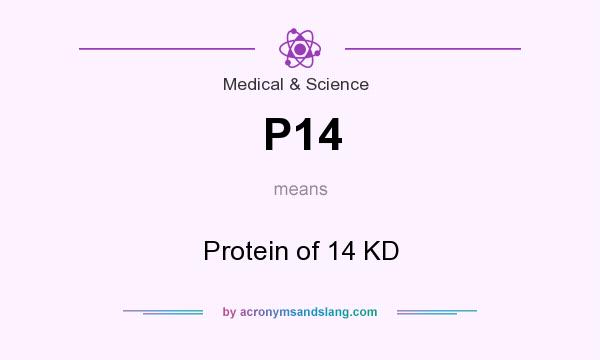 What does P14 mean? It stands for Protein of 14 KD