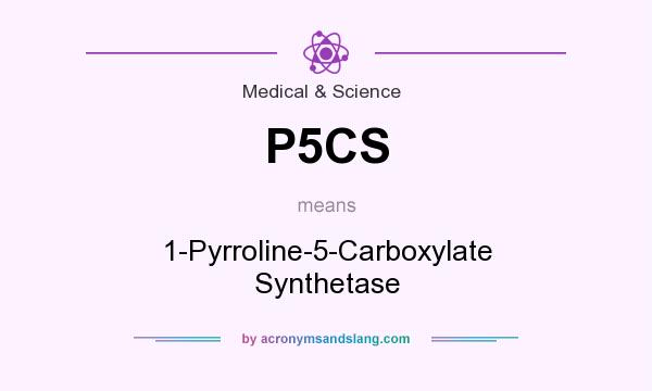 What does P5CS mean? It stands for 1-Pyrroline-5-Carboxylate Synthetase