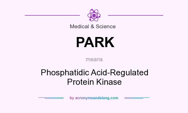 What does PARK mean? It stands for Phosphatidic Acid-Regulated Protein Kinase