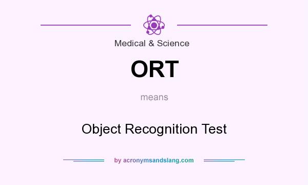 What does ORT mean? It stands for Object Recognition Test