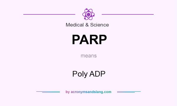 What does PARP mean? It stands for Poly ADP