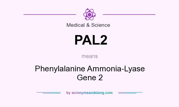 What does PAL2 mean? It stands for Phenylalanine Ammonia-Lyase Gene 2