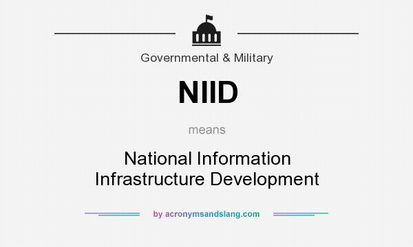 What does NIID mean? It stands for National Information Infrastructure Development