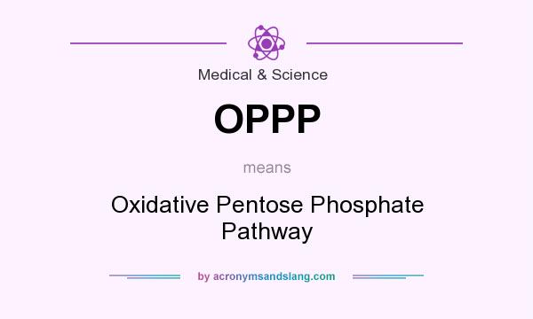 What does OPPP mean? It stands for Oxidative Pentose Phosphate Pathway