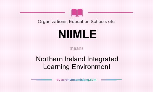 What does NIIMLE mean? It stands for Northern Ireland Integrated Learning Environment