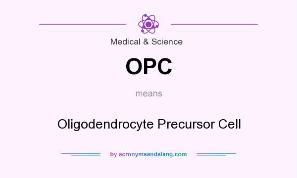 What does OPC mean? It stands for Oligodendrocyte Precursor Cell