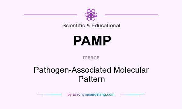 What does PAMP mean? It stands for Pathogen-Associated Molecular Pattern