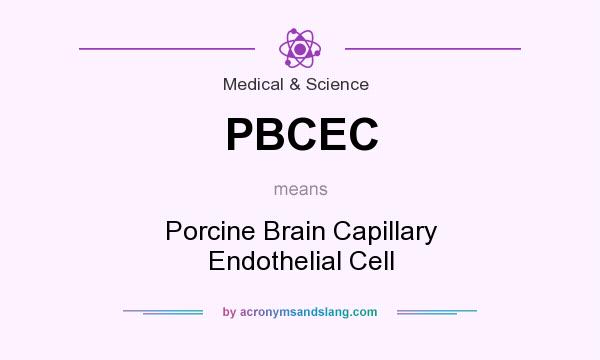 What does PBCEC mean? It stands for Porcine Brain Capillary Endothelial Cell