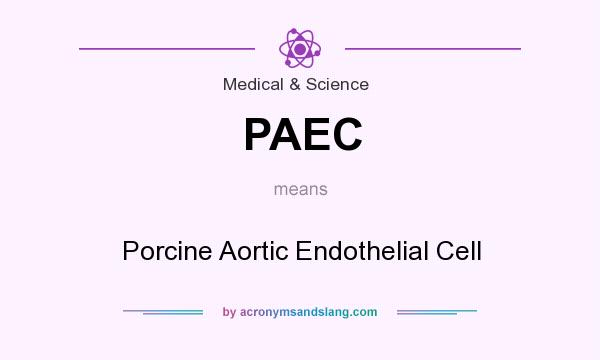 What does PAEC mean? It stands for Porcine Aortic Endothelial Cell
