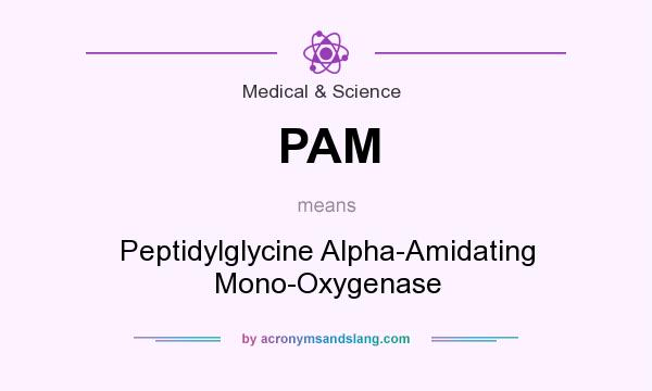 What does PAM mean? It stands for Peptidylglycine Alpha-Amidating Mono-Oxygenase