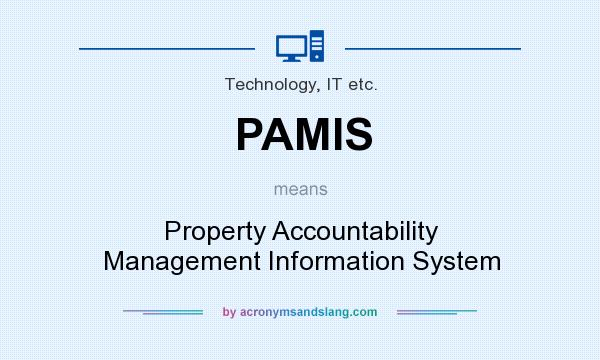 What does PAMIS mean? It stands for Property Accountability Management Information System