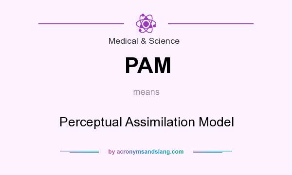 What does PAM mean? It stands for Perceptual Assimilation Model