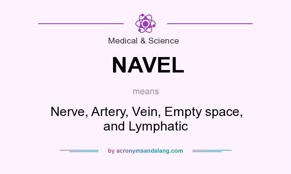 What does NAVEL mean? It stands for Nerve, Artery, Vein, Empty space, and Lymphatic