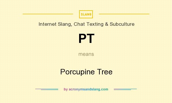 What does PT mean? It stands for Porcupine Tree