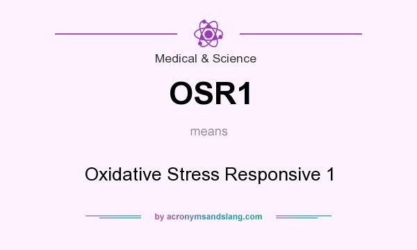 What does OSR1 mean? It stands for Oxidative Stress Responsive 1