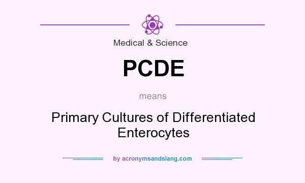 What does PCDE mean? It stands for Primary Cultures of Differentiated Enterocytes