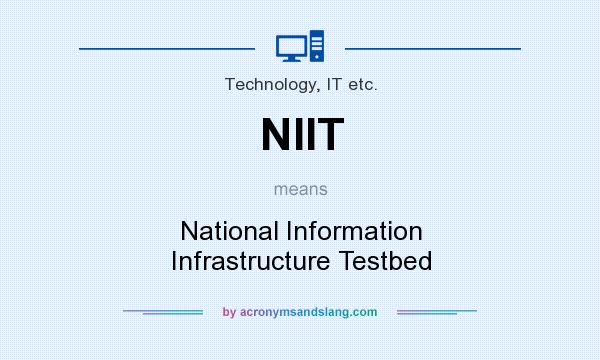 What does NIIT mean? It stands for National Information Infrastructure Testbed