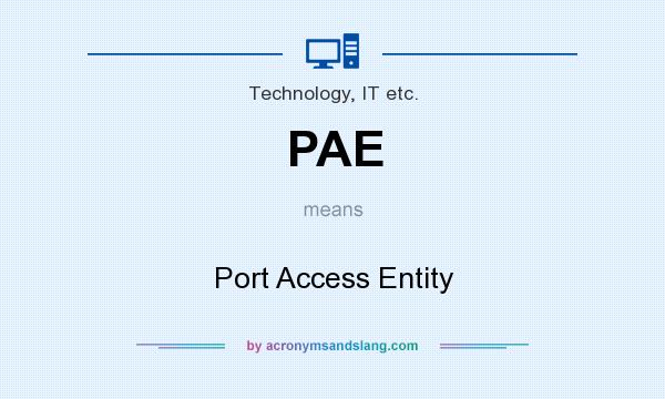 What does PAE mean? It stands for Port Access Entity