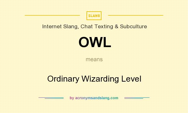 What does OWL mean? It stands for Ordinary Wizarding Level