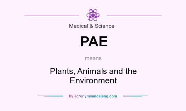 What does PAE mean? It stands for Plants, Animals and the Environment