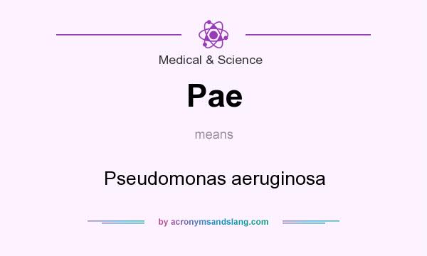 What does Pae mean? It stands for Pseudomonas aeruginosa