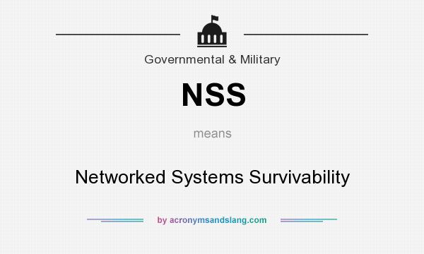 What does NSS mean? It stands for Networked Systems Survivability