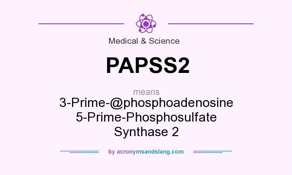 What does PAPSS2 mean? It stands for 3-Prime-@phosphoadenosine 5-Prime-Phosphosulfate Synthase 2