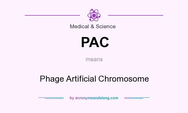 What does PAC mean? It stands for Phage Artificial Chromosome