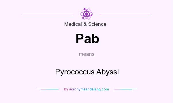 What does Pab mean? It stands for Pyrococcus Abyssi