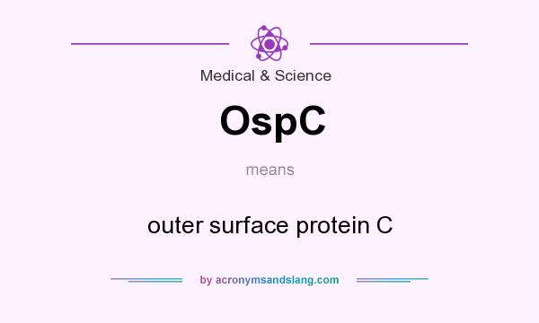 What does OspC mean? It stands for outer surface protein C