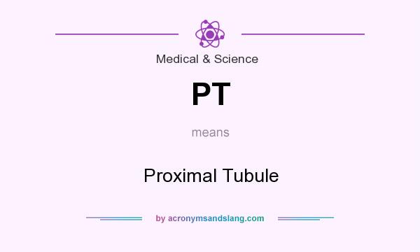 What does PT mean? It stands for Proximal Tubule