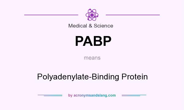 What does PABP mean? It stands for Polyadenylate-Binding Protein