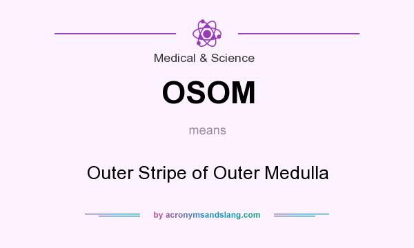What does OSOM mean? It stands for Outer Stripe of Outer Medulla