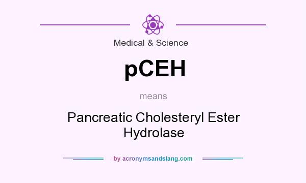 What does pCEH mean? It stands for Pancreatic Cholesteryl Ester Hydrolase