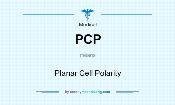 What does PCP mean? It stands for Planar Cell Polarity