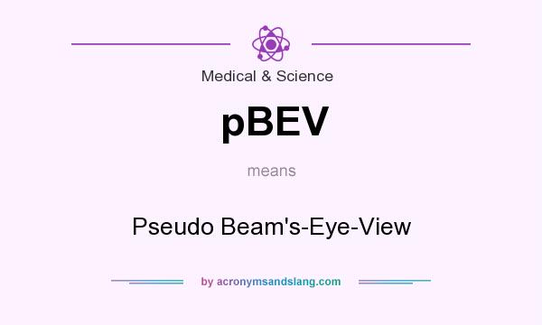What does pBEV mean? It stands for Pseudo Beam`s-Eye-View