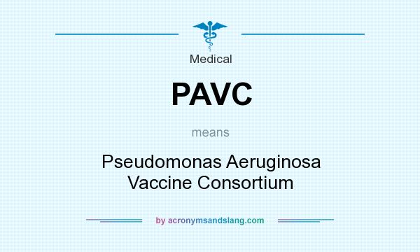 What does PAVC mean? It stands for Pseudomonas Aeruginosa Vaccine Consortium