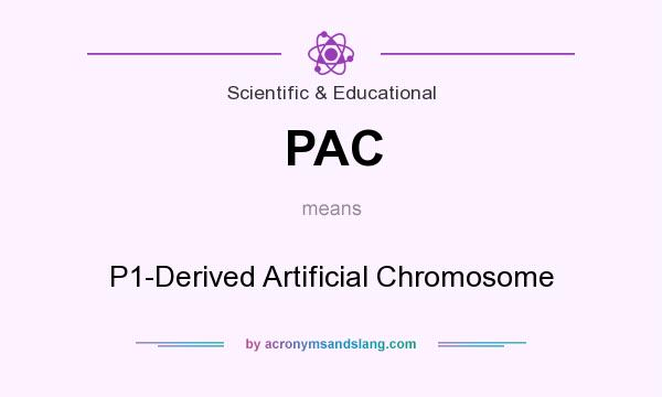 What does PAC mean? It stands for P1-Derived Artificial Chromosome