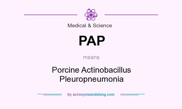 What does PAP mean? It stands for Porcine Actinobacillus Pleuropneumonia