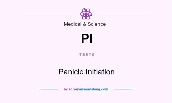 What does PI mean? It stands for Panicle Initiation
