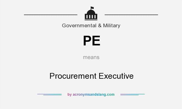 What does PE mean? It stands for Procurement Executive