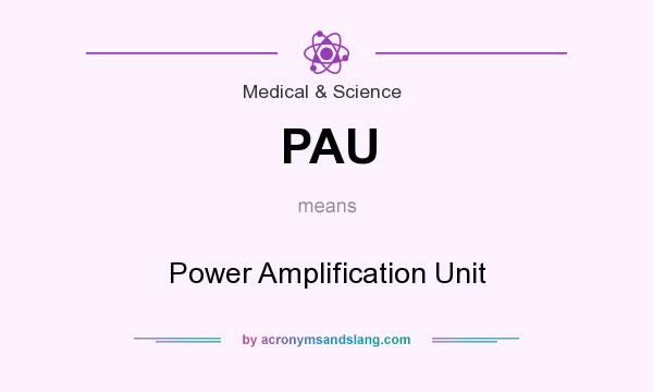 What does PAU mean? It stands for Power Amplification Unit