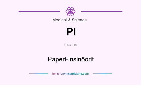 What does PI mean? It stands for Paperi-Insinöörit