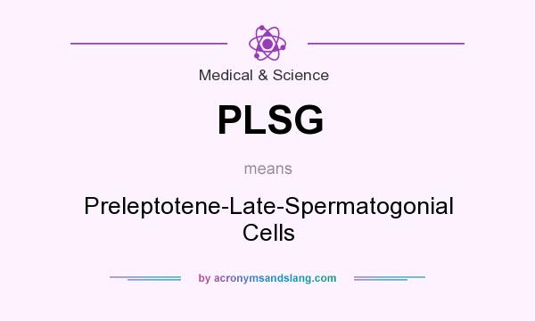 What does PLSG mean? It stands for Preleptotene-Late-Spermatogonial Cells