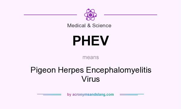 What does PHEV mean? It stands for Pigeon Herpes Encephalomyelitis Virus
